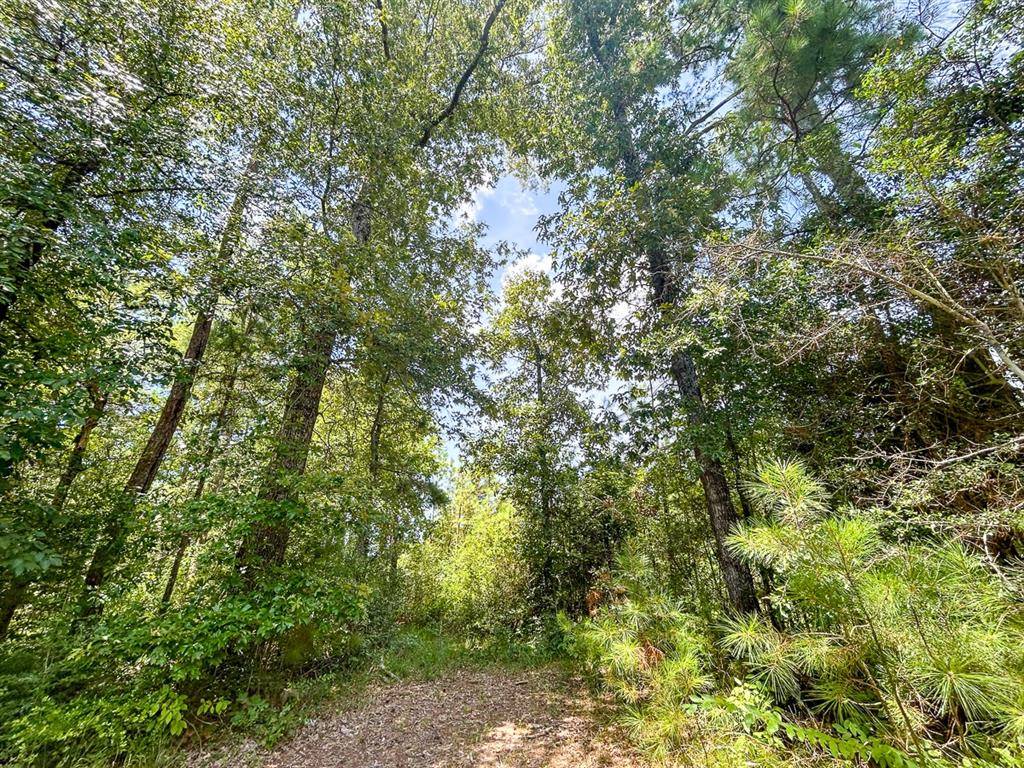 Seven Oaks, TX 77351,751 Red Hollow Road