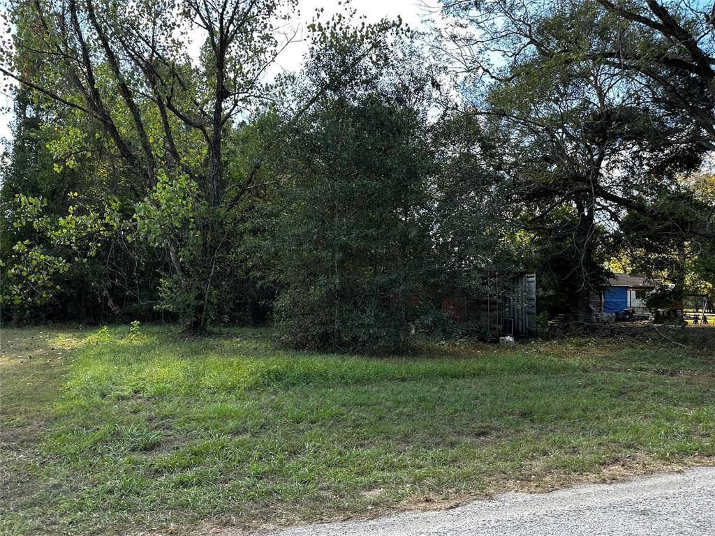 New Caney, TX 77357,27700 Knoll Acres BLANK