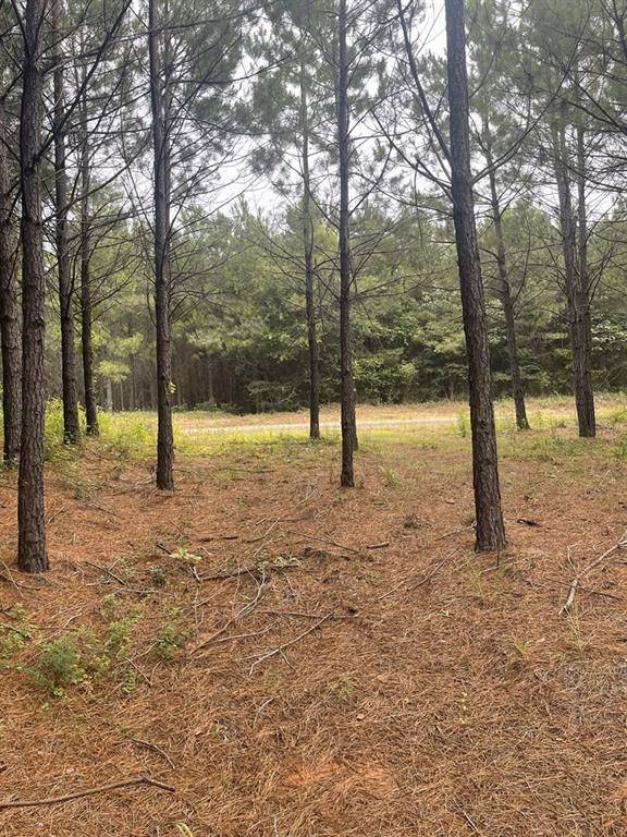 Center, TX 75935,TBD CR 1090