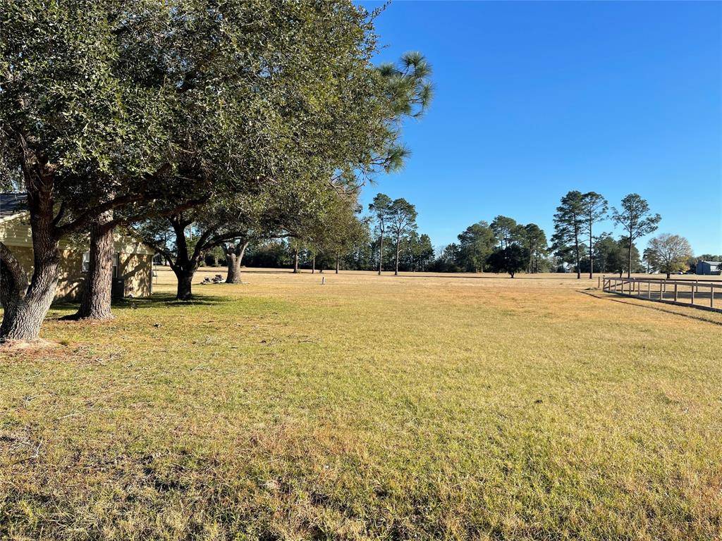 Waller, TX 77484,00000 Birdie LN