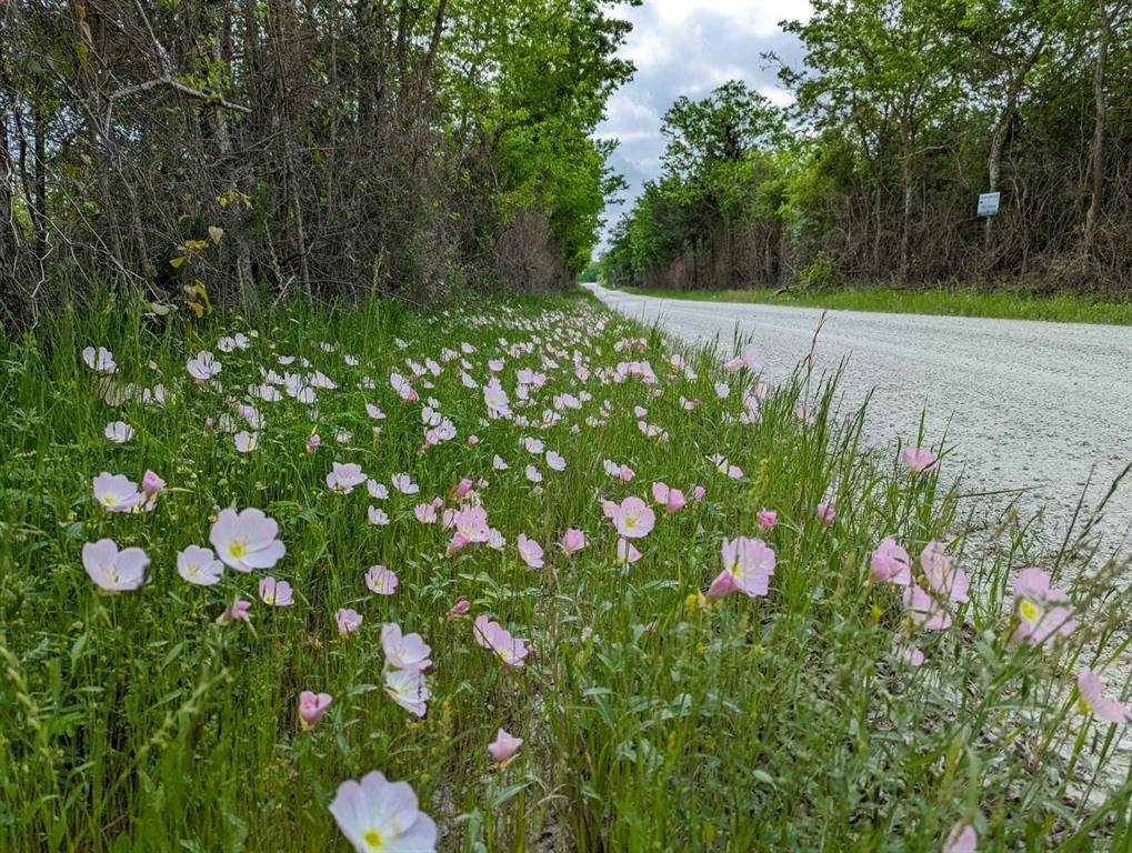 North Zulch, TX 77872,TBD Jinkins RD