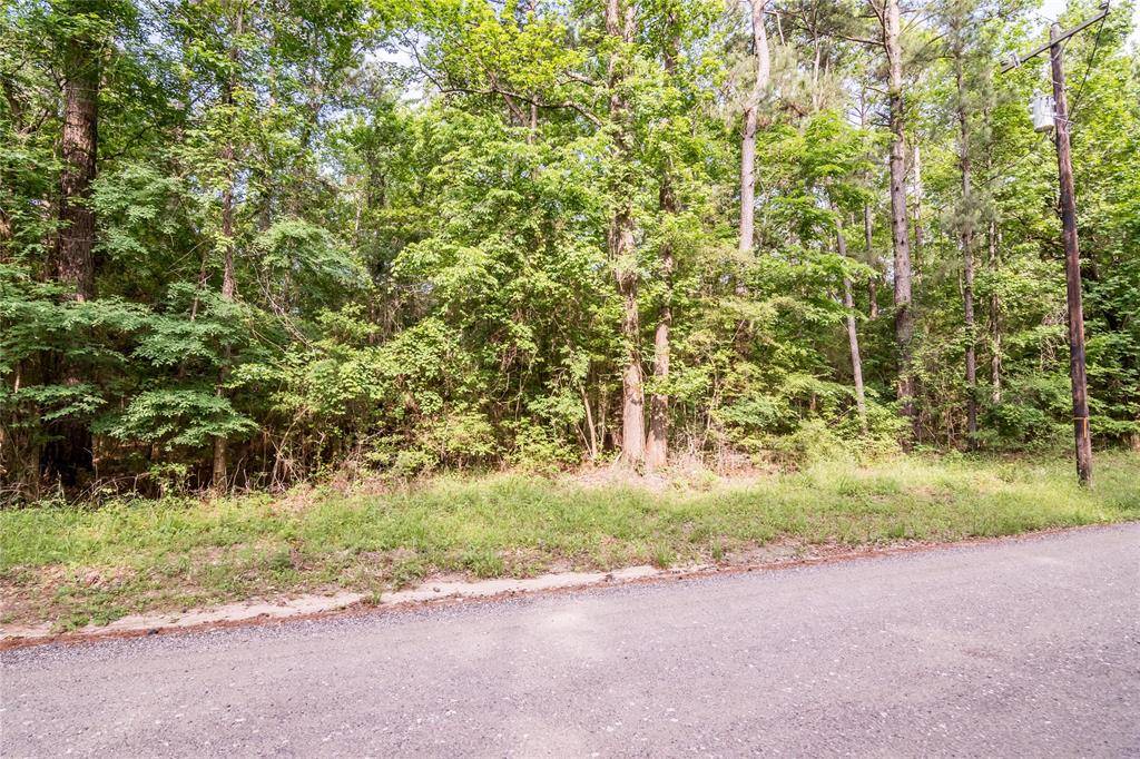 Coldspring, TX 77331,Lot 178 Morris Creek RD