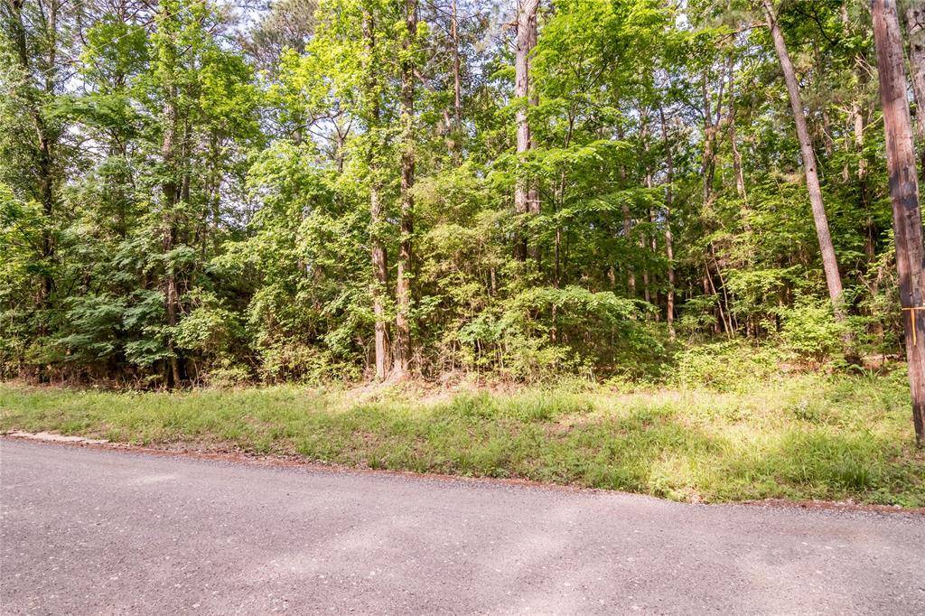 Coldspring, TX 77331,Lot 178 Morris Creek RD