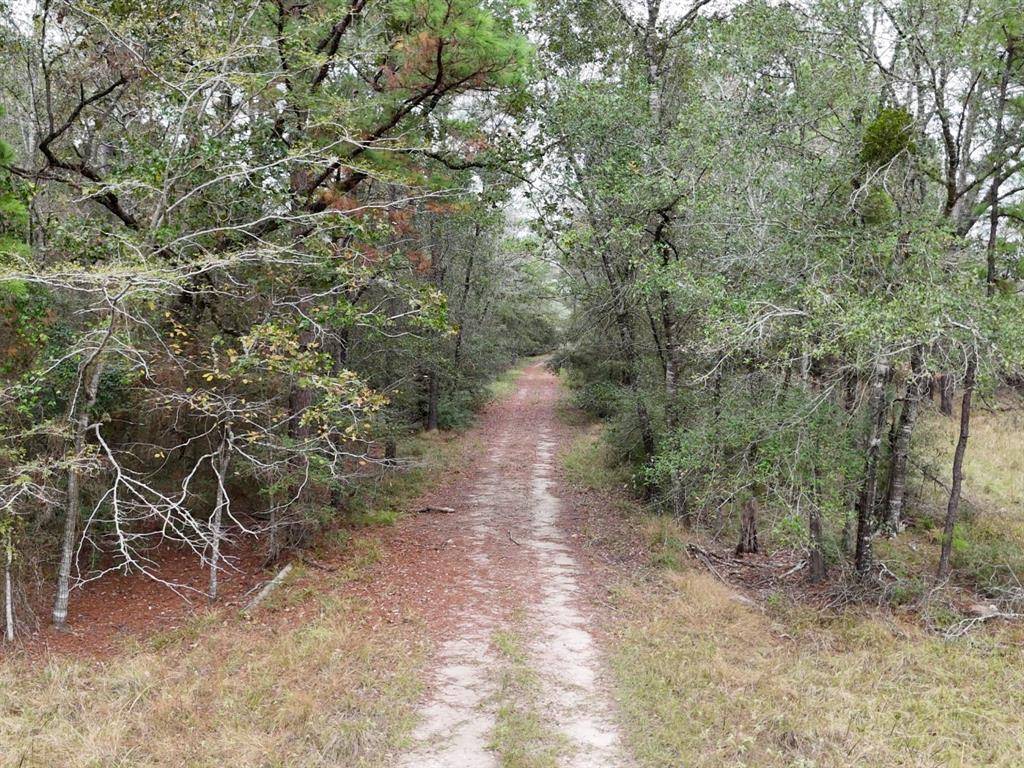 Huntsville, TX 77320,13.71 Acres Tract 1 TBD Percy Howard Rd