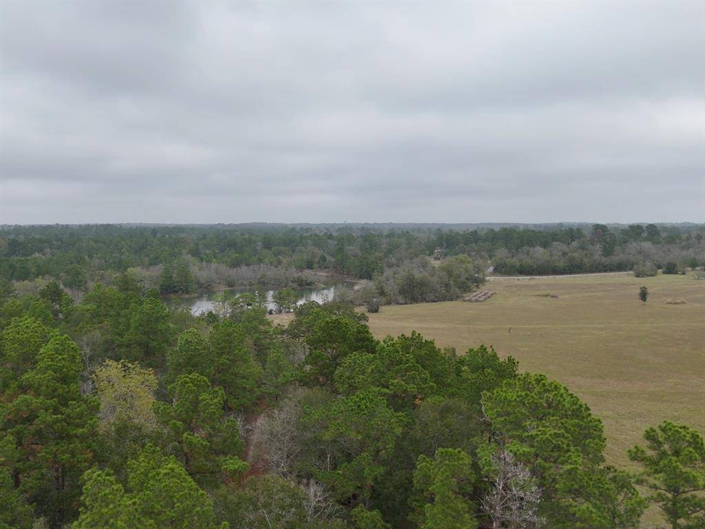 Huntsville, TX 77320,13.71 Acres Tract 1 TBD Percy Howard Rd