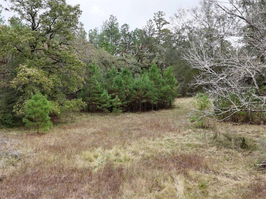 Huntsville, TX 77320,13.71 Acres Tract 1 TBD Percy Howard Rd