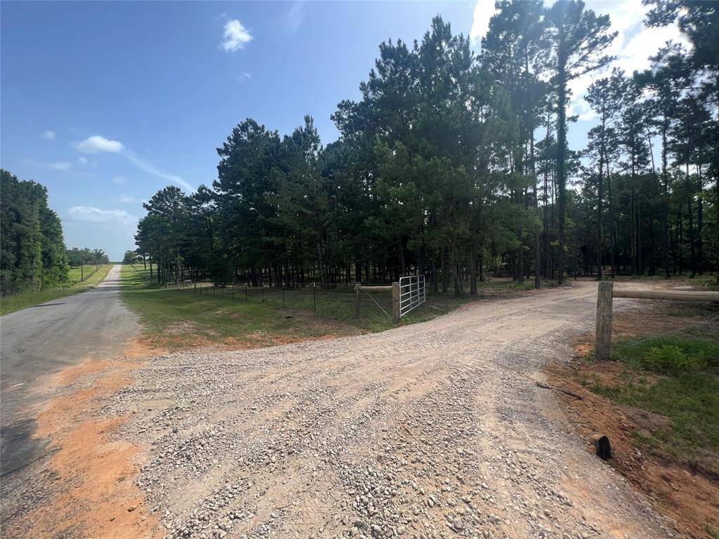 New Waverly, TX 77358,Lot 1 C Winters Ranch Rd