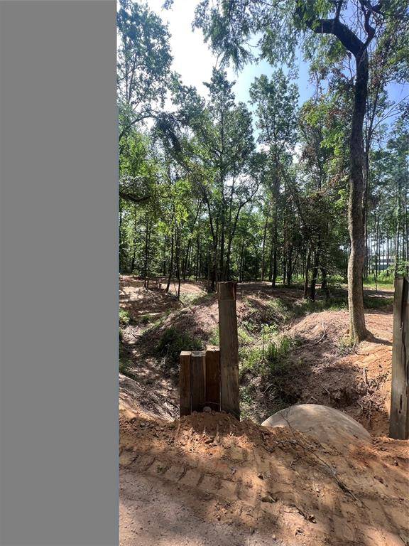 New Waverly, TX 77358,Lot 1 C Winters Ranch Rd