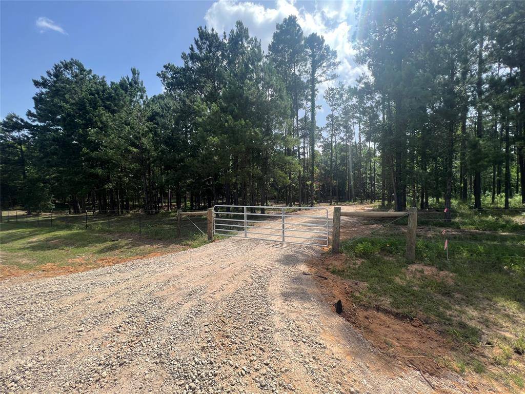 New Waverly, TX 77358,Lot 1 C Winters Ranch Rd