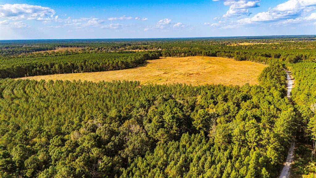 Trinity, TX 75845,878 Joe Hudson Road