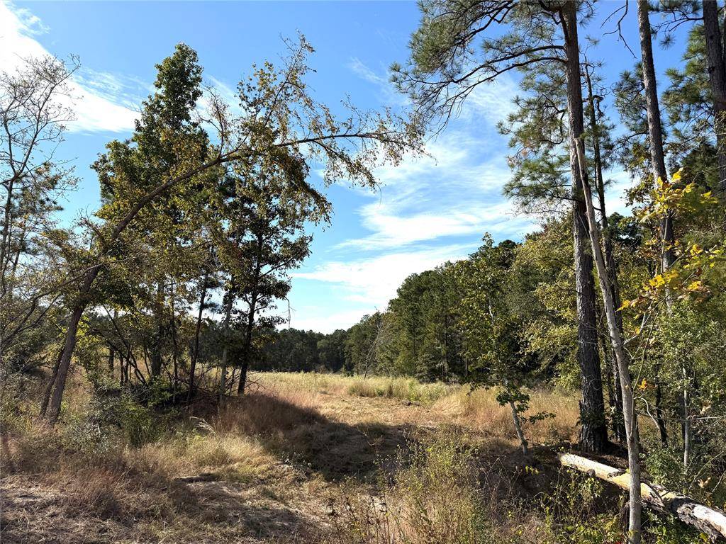 Trinity, TX 75845,878 Joe Hudson Road