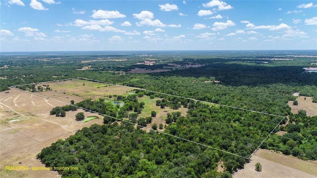 Somerville, TX 77879,5380 County Road 132 - 81 acres