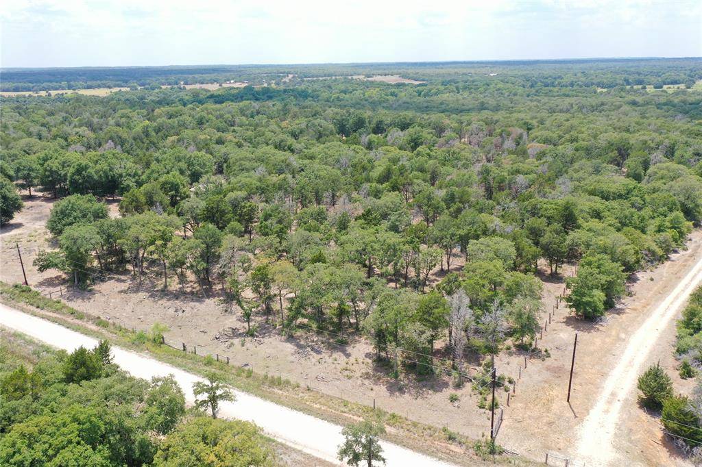 Paige, TX 78659,21.481 Acres St Delight Rd