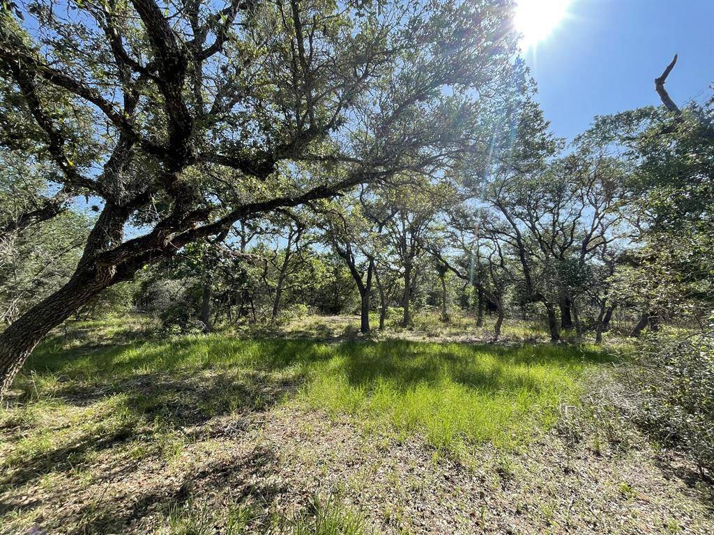 Hallettsville, TX 77964,Lot 5 County Road 14