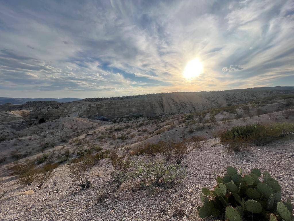 Study Butte-terlingua, TX 79852,0100 Needle Peek Road