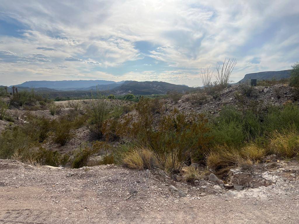 Study Butte-terlingua, TX 79852,0100 Needle Peek Road