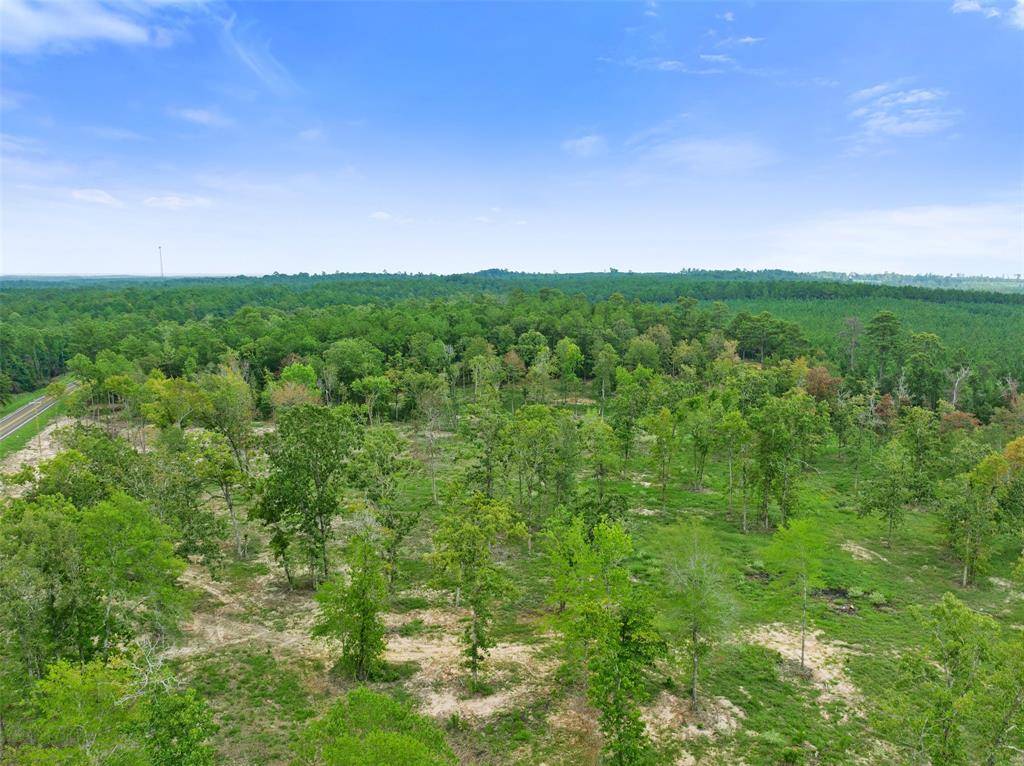 Livingston, TX 77351,Lot 6 FM 3152 RD