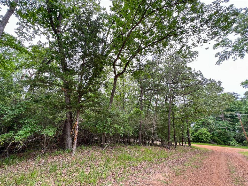 Crockett, TX 75835,0 Forest Road