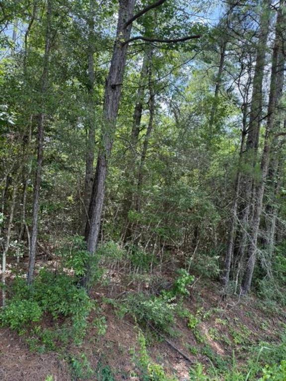 Ivanhoe, TX 75979,TBD Lakeview CIR