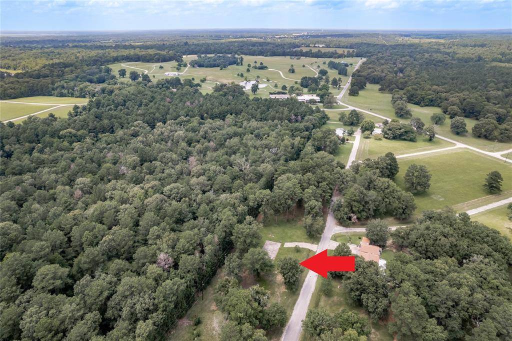 Trinity, TX 75862,Lot 33 Peach Point LN