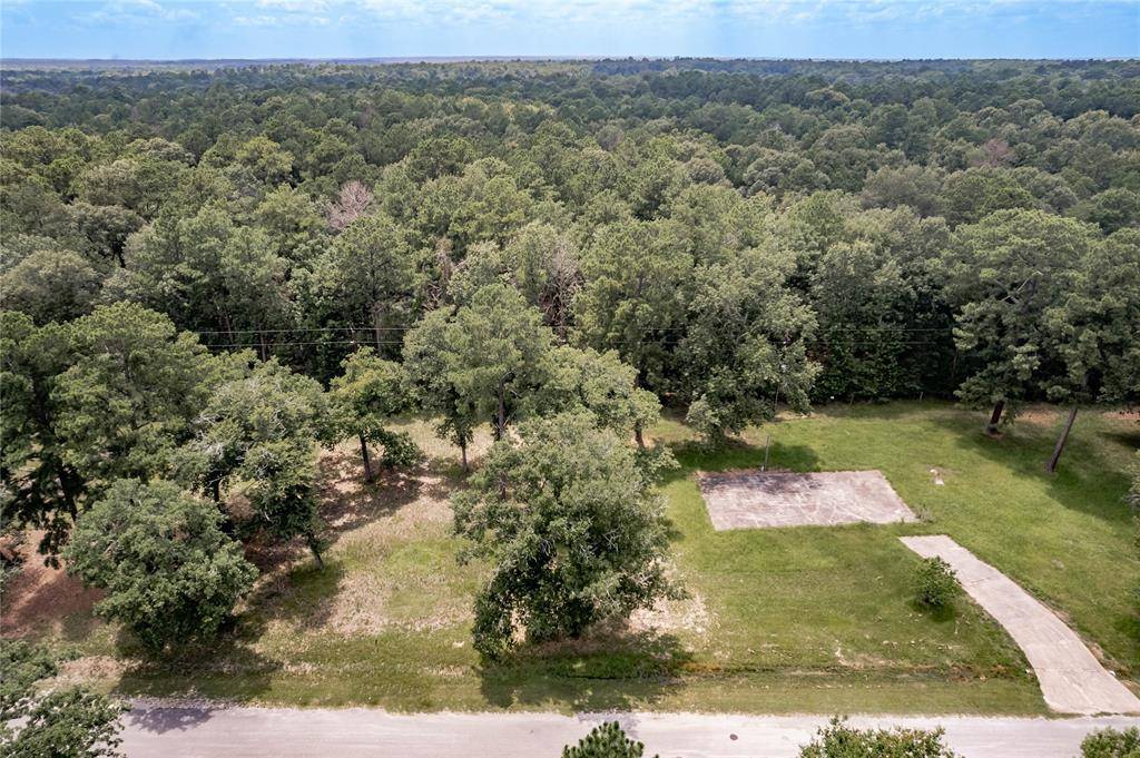 Trinity, TX 75862,Lot 33 Peach Point LN