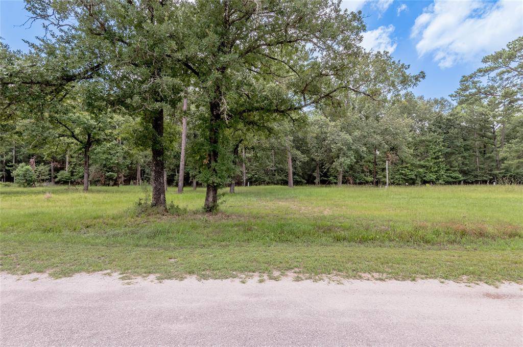 Trinity, TX 75862,Lot 33 Peach Point LN