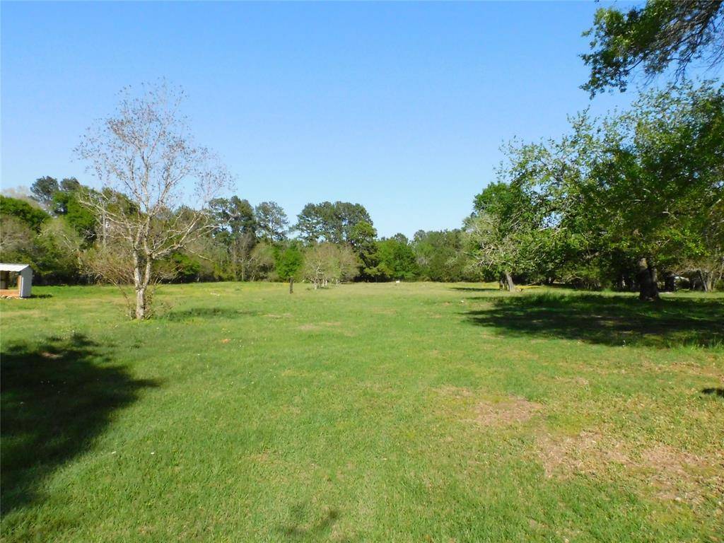 Sealy, TX 77474,1215 N Meyer ST