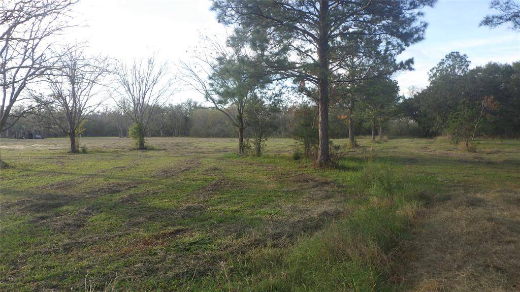 Brazoria, TX 77422,Fm Cr 319 County Road 319