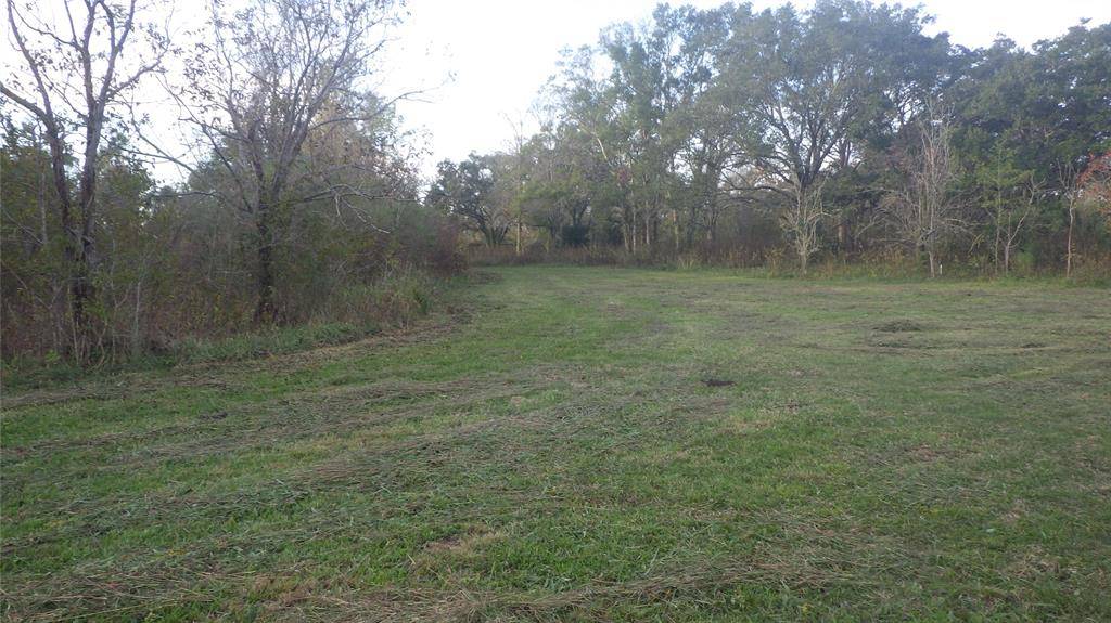 Brazoria, TX 77422,Fm Cr 319 County Road 319