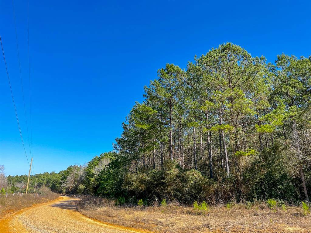 Livingston, TX 77351,05 Bracewell Cemetery Road