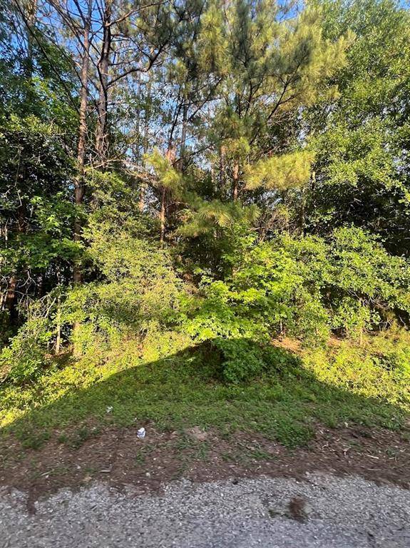New Caney, TX 77357,19228 Kings ROW