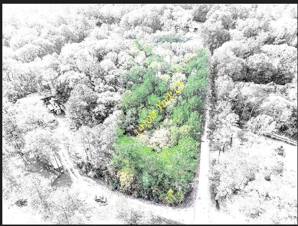 New Caney, TX 77357,19100 York CT