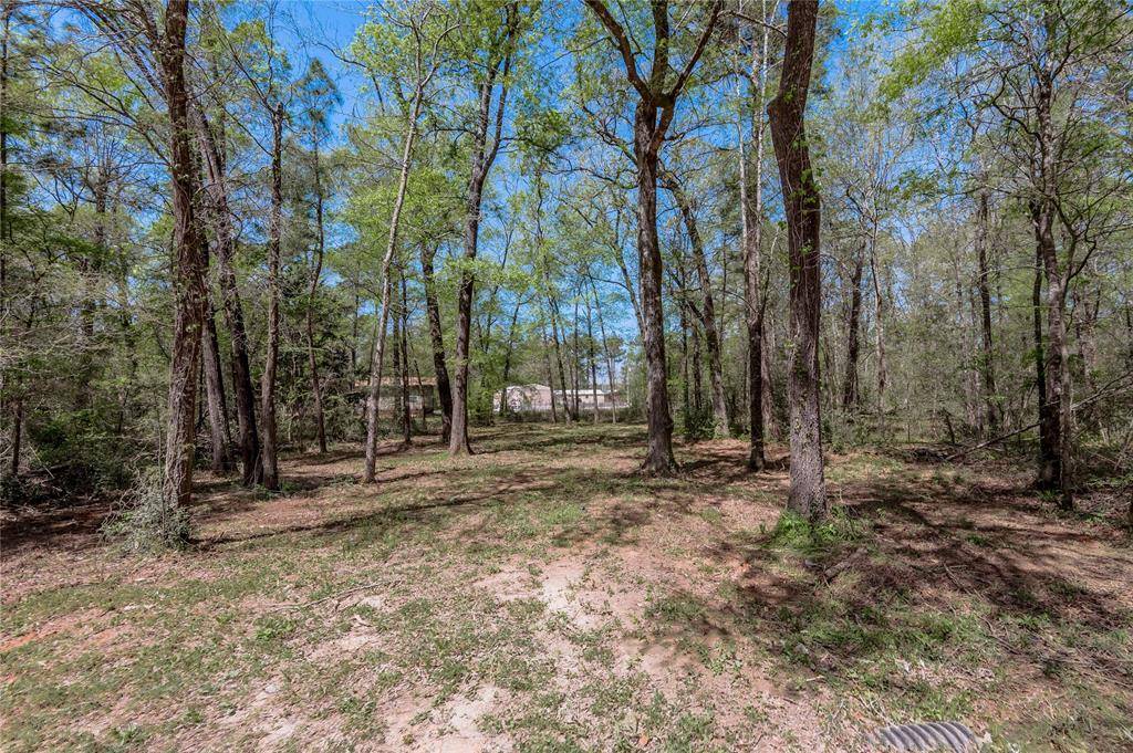 Livingston, TX 77351,TBD Meridian