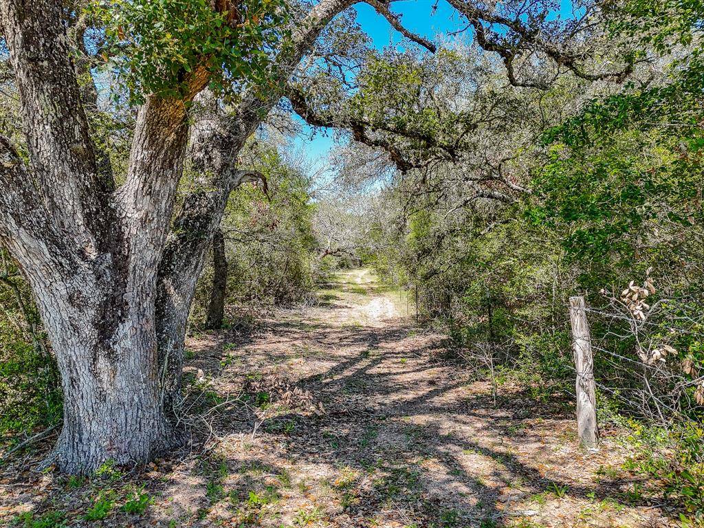 Garwood, TX 77442,TBD7 County Road 19 Tract 7 RD