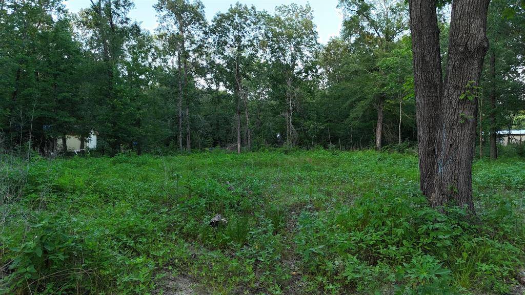 Livingston, TX 77351,O PANTHER LN