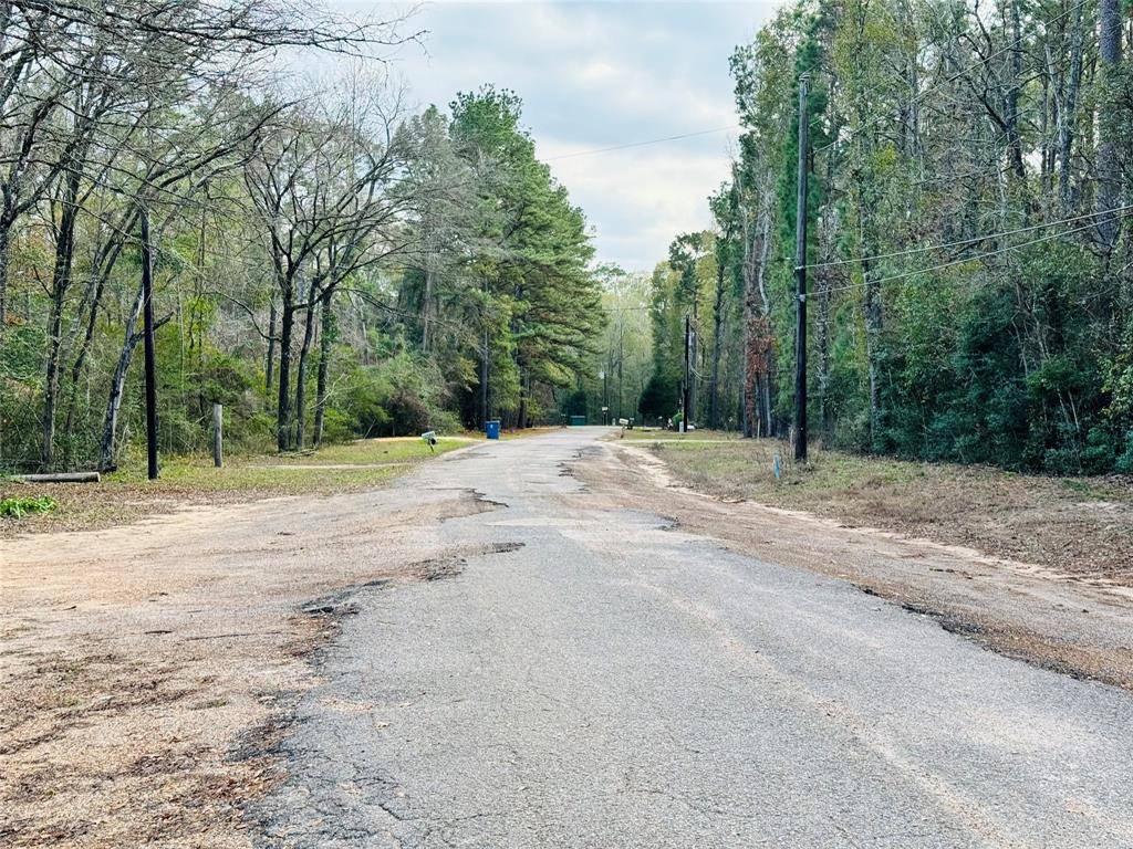 Montgomery, TX 77316,Lot 9 Deep Forest Lane