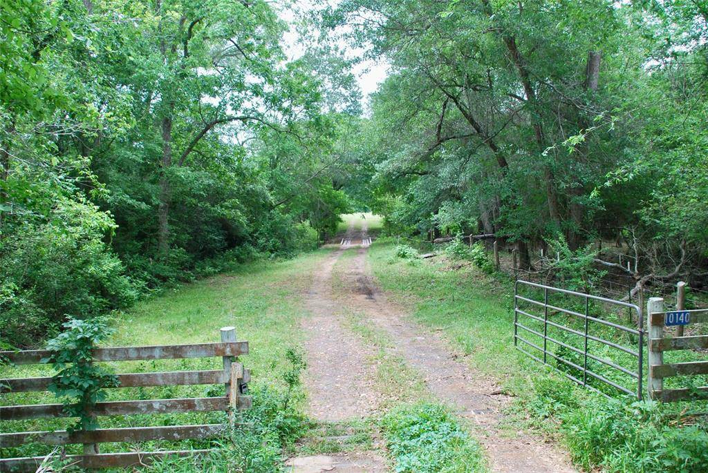 Cistern, TX 78941,10140 Roy RD