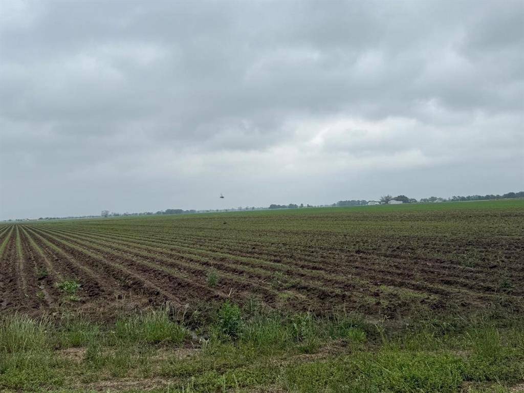 Beasley, TX 77417,10542 Walker RD