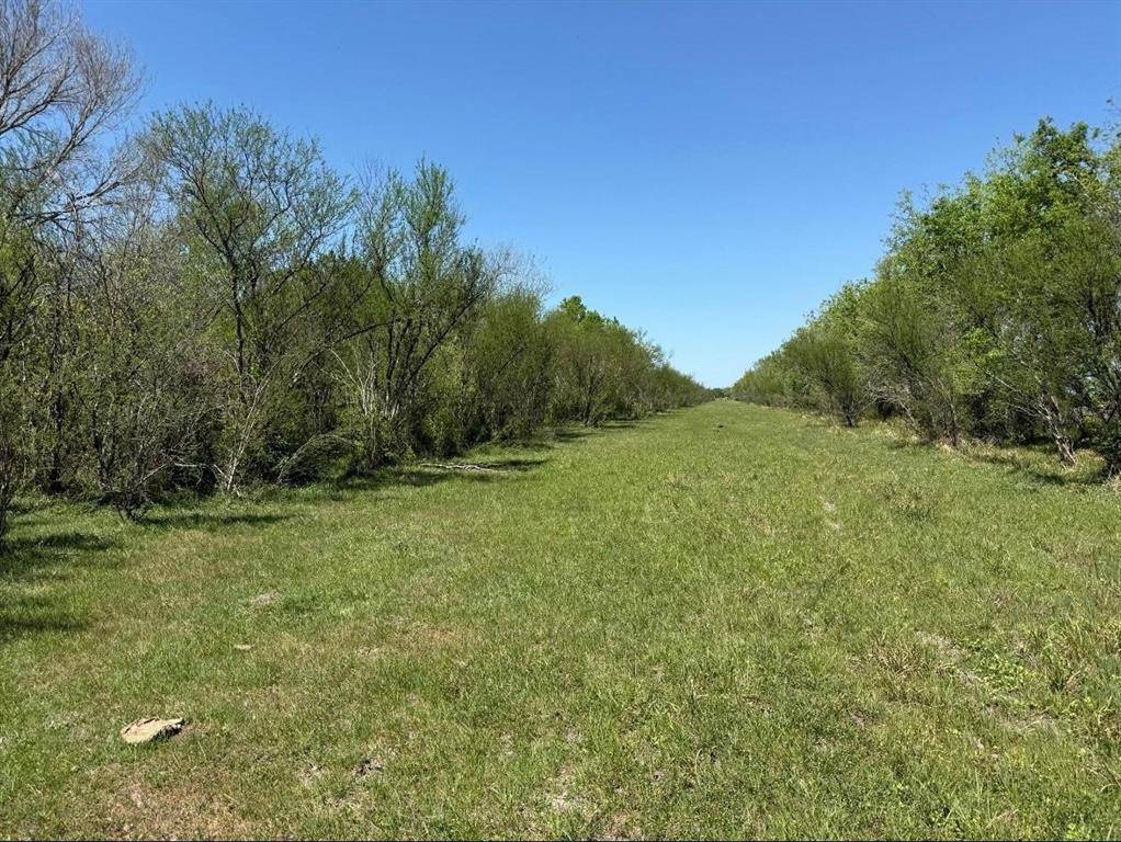 Beasley, TX 77417,10542 Walker RD