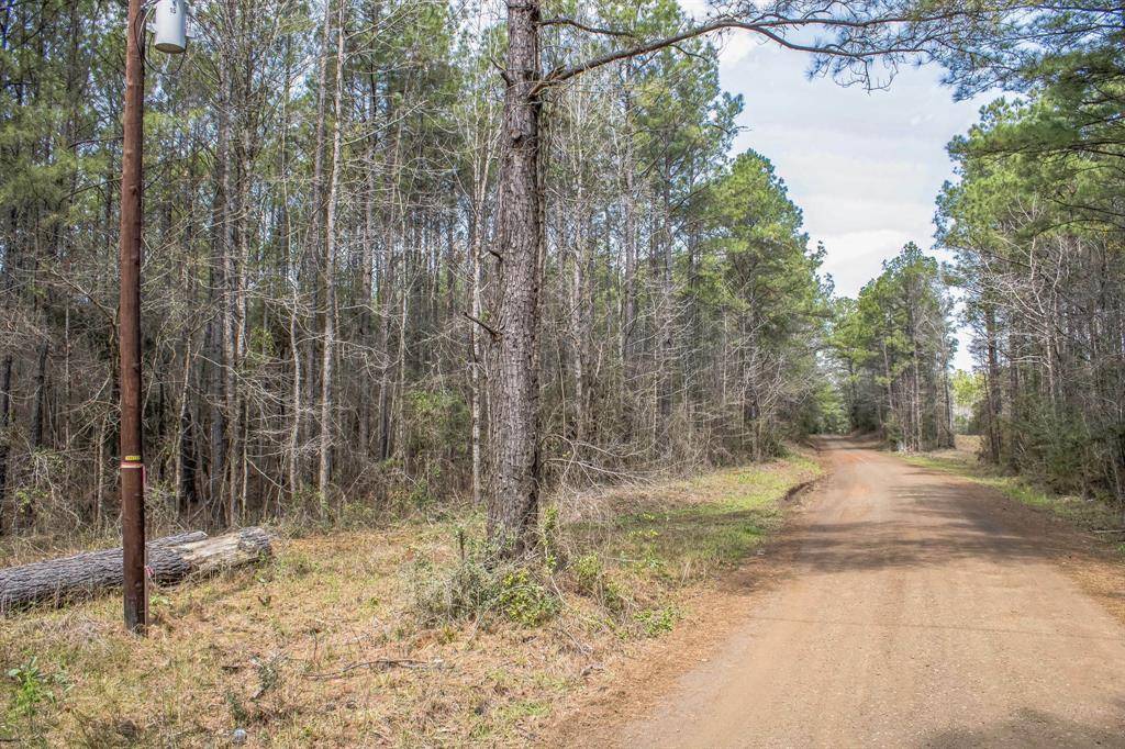 San Augustine, TX 75972,0 Sid Dennis LN
