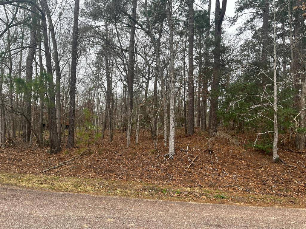 Coldspring, TX 77331,101 S Royale Greens DR