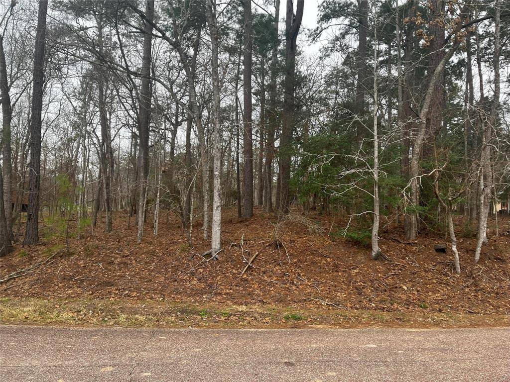 Coldspring, TX 77331,101 S Royale Greens DR