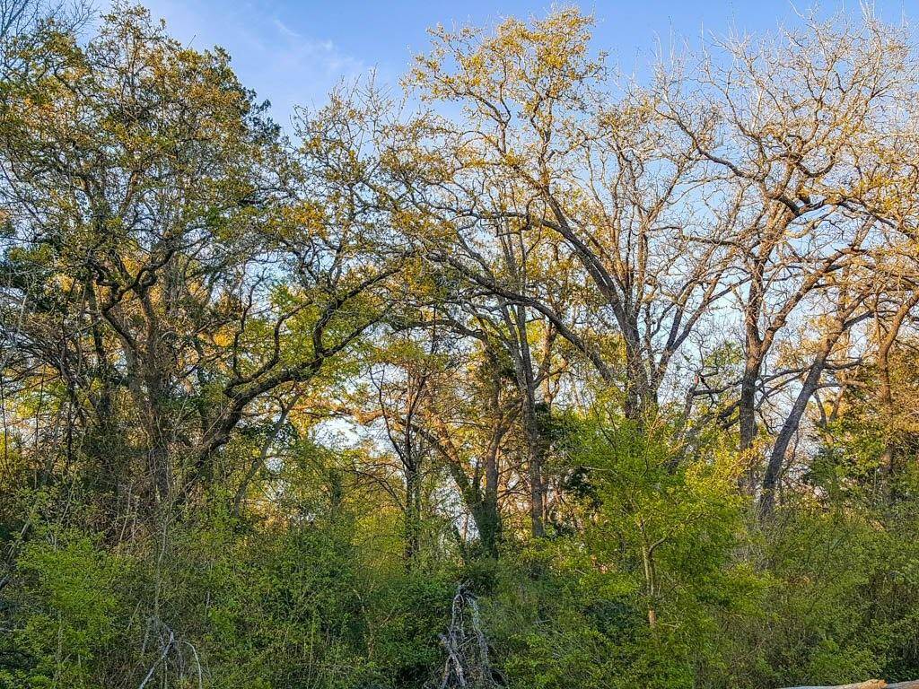 Elgin, TX 78621,Lot 33 Mesquite Trail