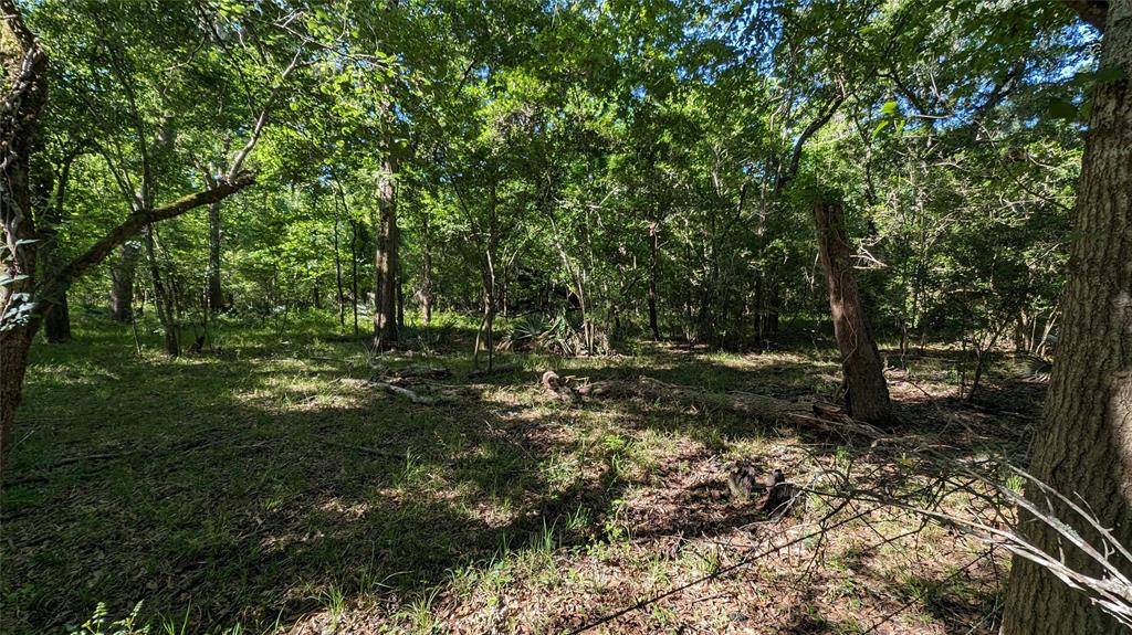 Needville, TX 77461,0000 Sawmill RD