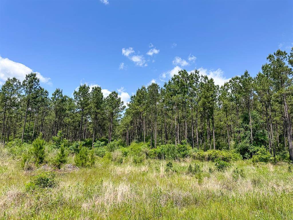 Groveton, TX 75845,49 Easement Access