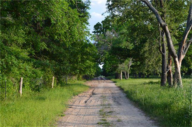 Navasota, TX 77868,11568 County Road 419