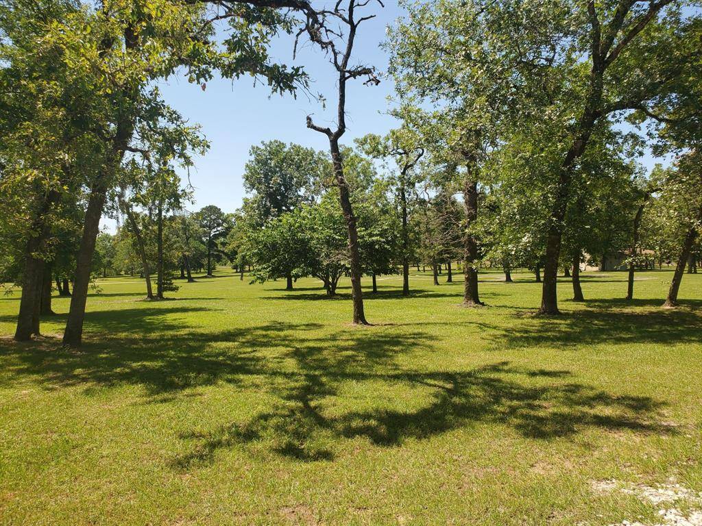 Hempstead, TX 77445,Lot 179 Chamelleon LN