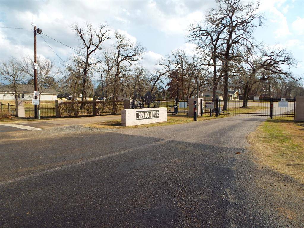 Hempstead, TX 77445,Lot 179 Chamelleon LN