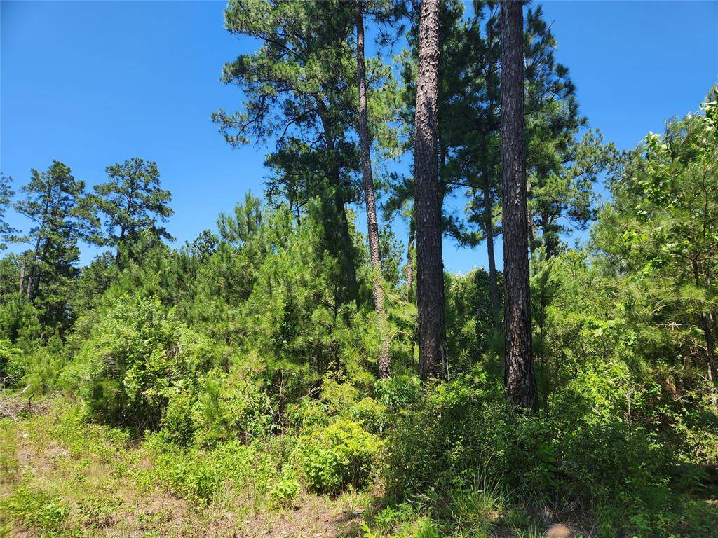 Plantersville, TX 77363,Lot 16 Mulberry DR