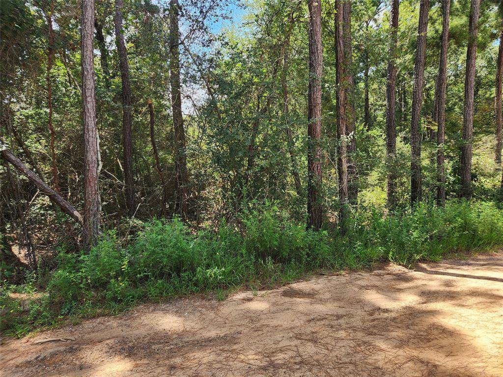 Plantersville, TX 77363,Lot 7 Smokethorn LN